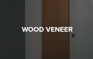 Doors101 thumbnail wood veneer