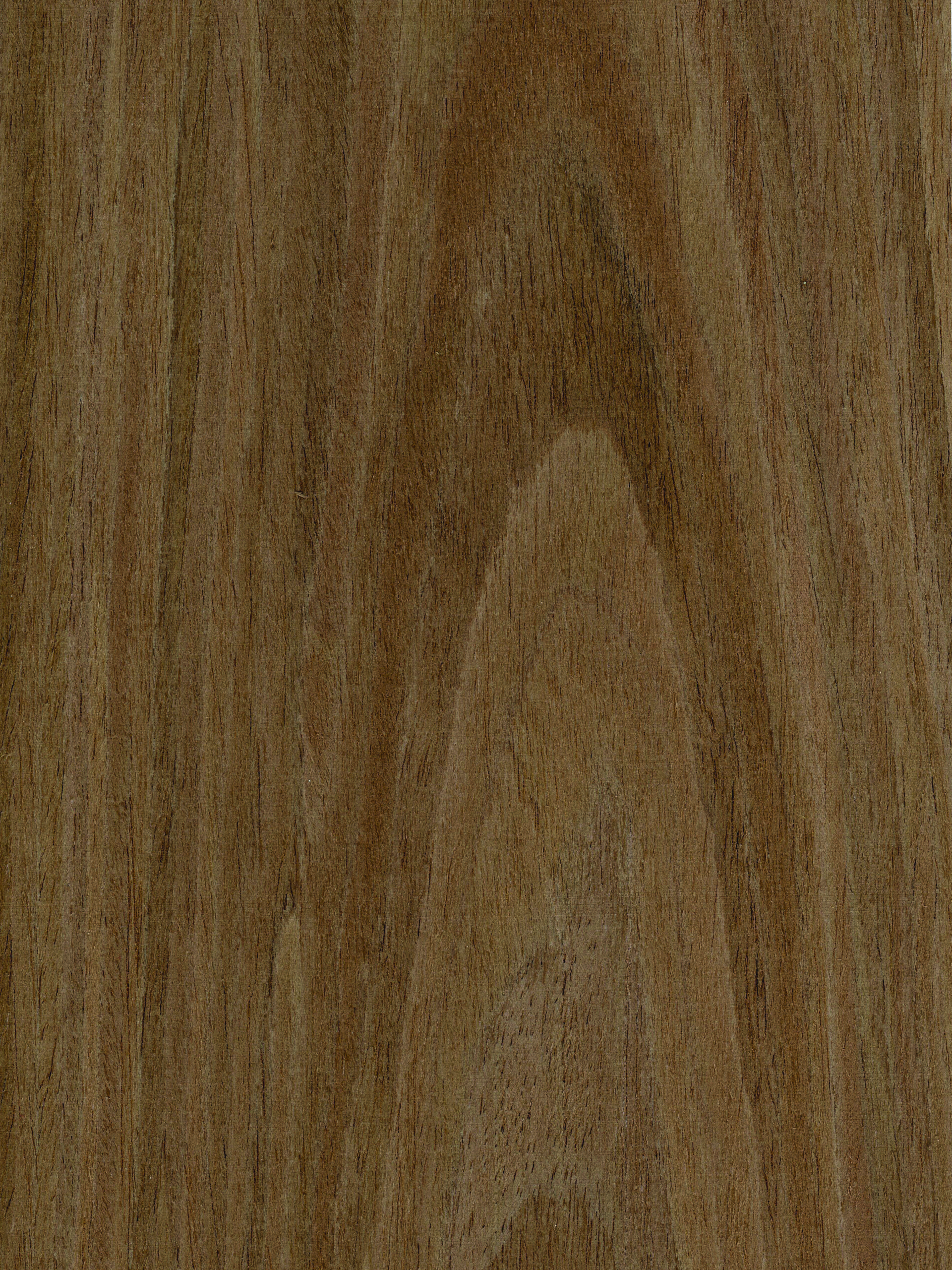 PS Walnut Coated WT-3160C