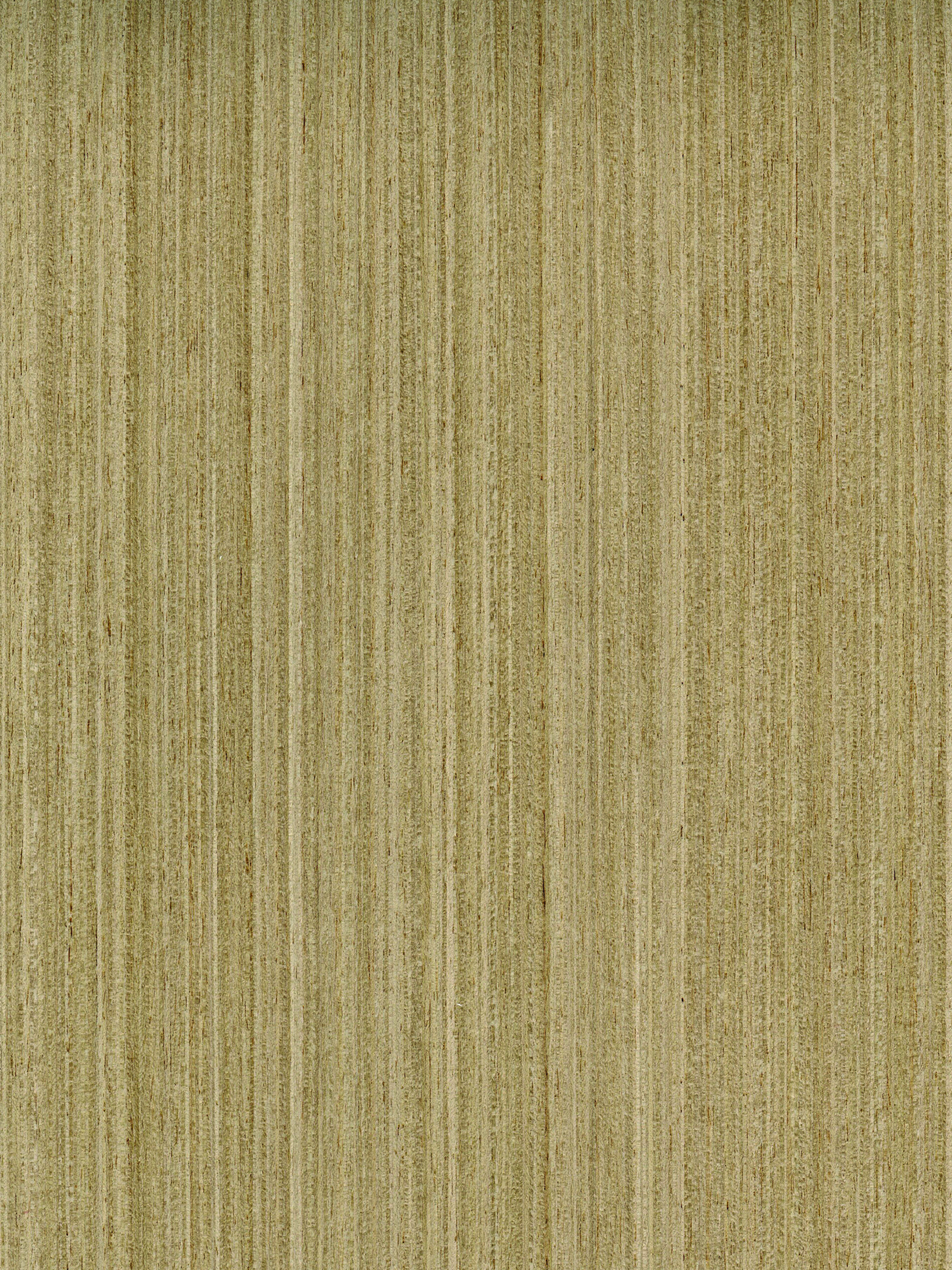 Qtr. Champagne Coated Champ-2Q