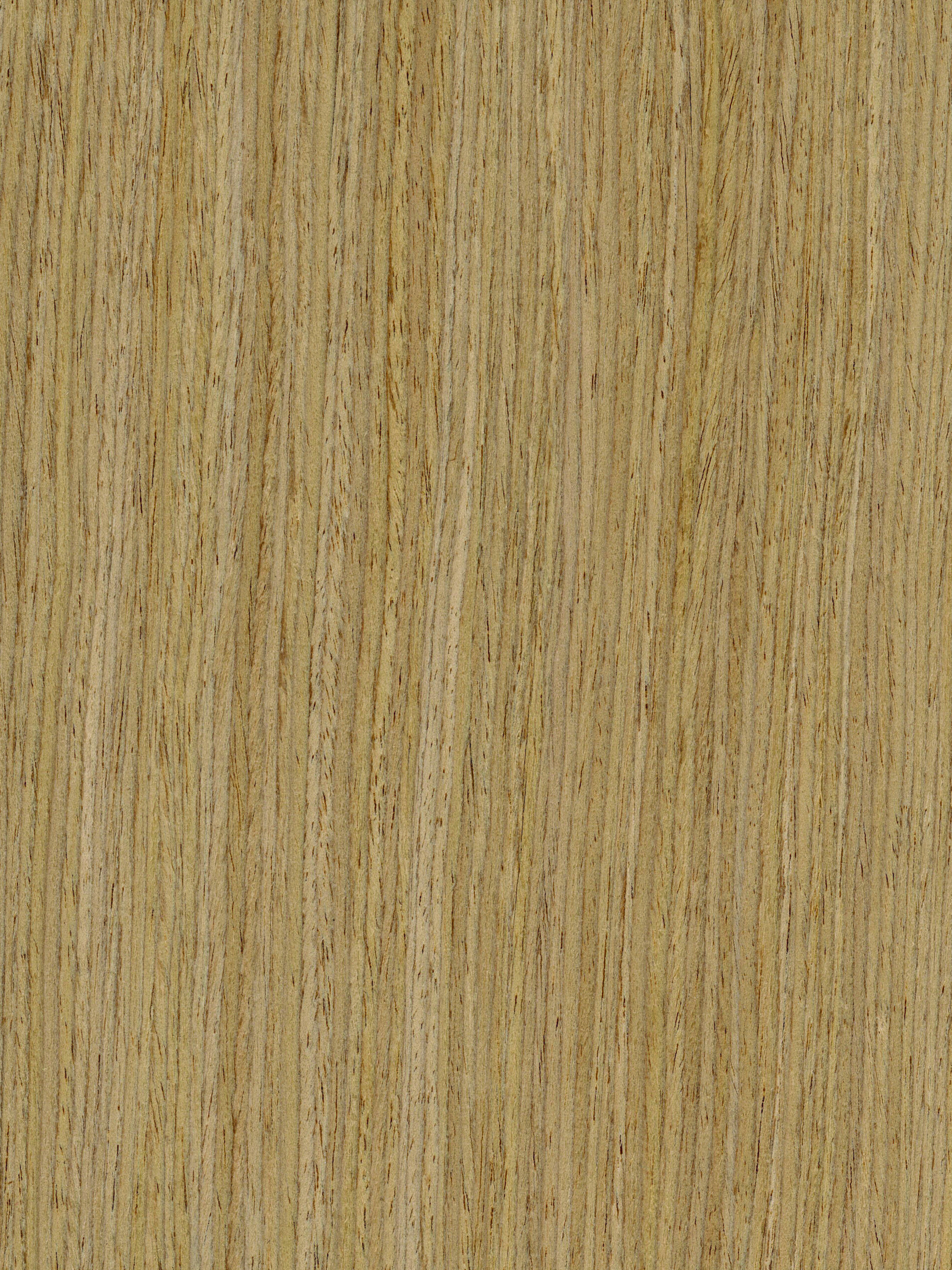 Rift White Oak Coated OAK-12-1S